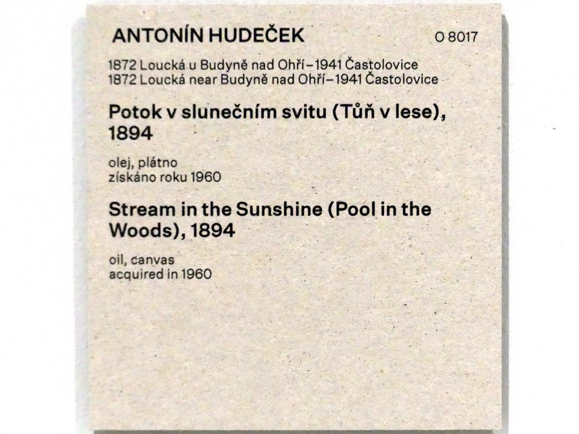 Antonín Hudeček (1894–1901), Fluss im Sonnenschein (See im Wald), Prag, Nationalgalerie im Messepalast, Das lange Jahrhundert, Saal 16, 1894, Bild 2/2