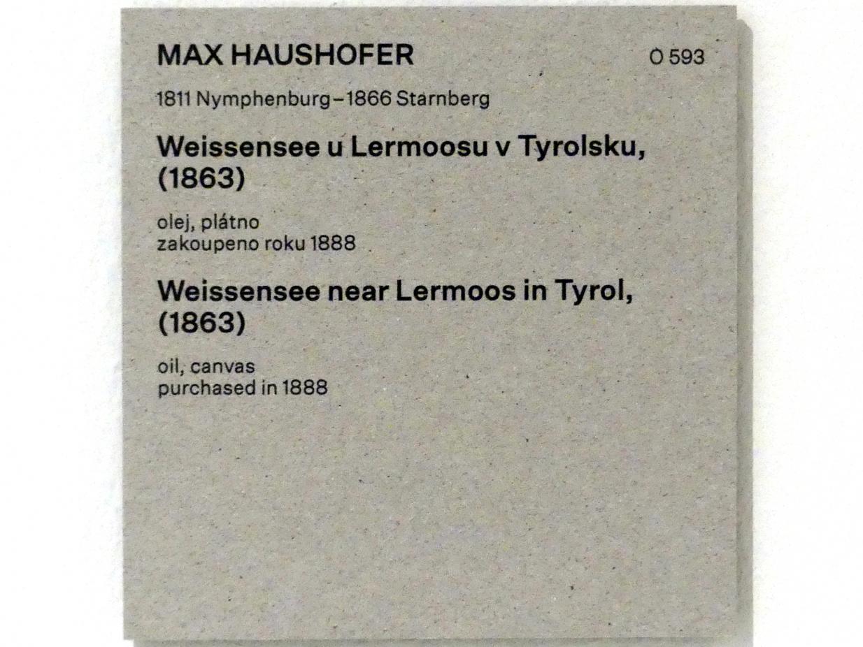 Max Haushofer (1863), Weißensee bei Lermoos in Tirol, Prag, Nationalgalerie im Messepalast, Das lange Jahrhundert, Saal 18, 1863, Bild 2/2