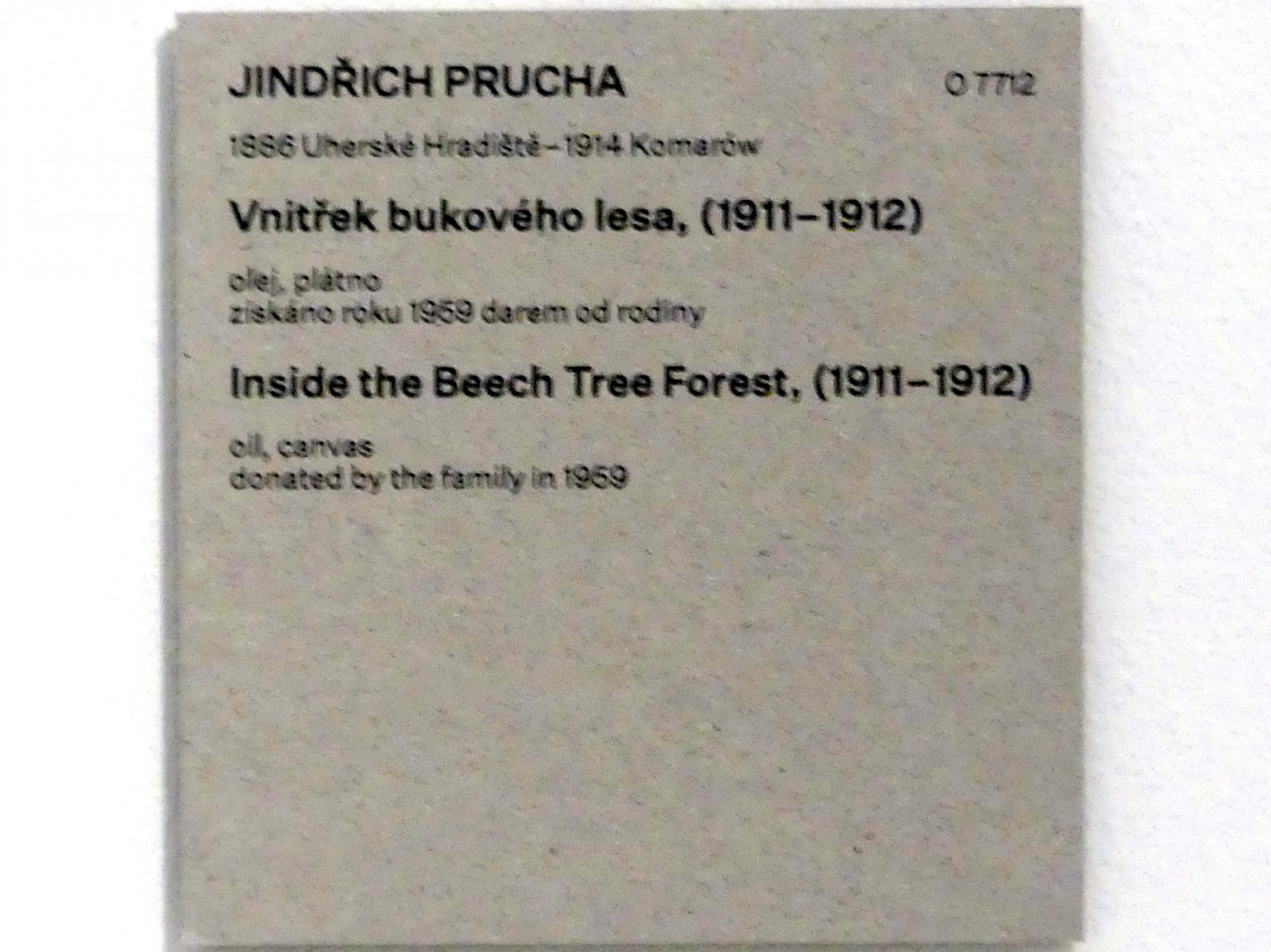 Jindřich Prucha (1910–1911), Im Buchenwald, Prag, Nationalgalerie im Messepalast, Das lange Jahrhundert, Saal 18, 1911–1912, Bild 2/2