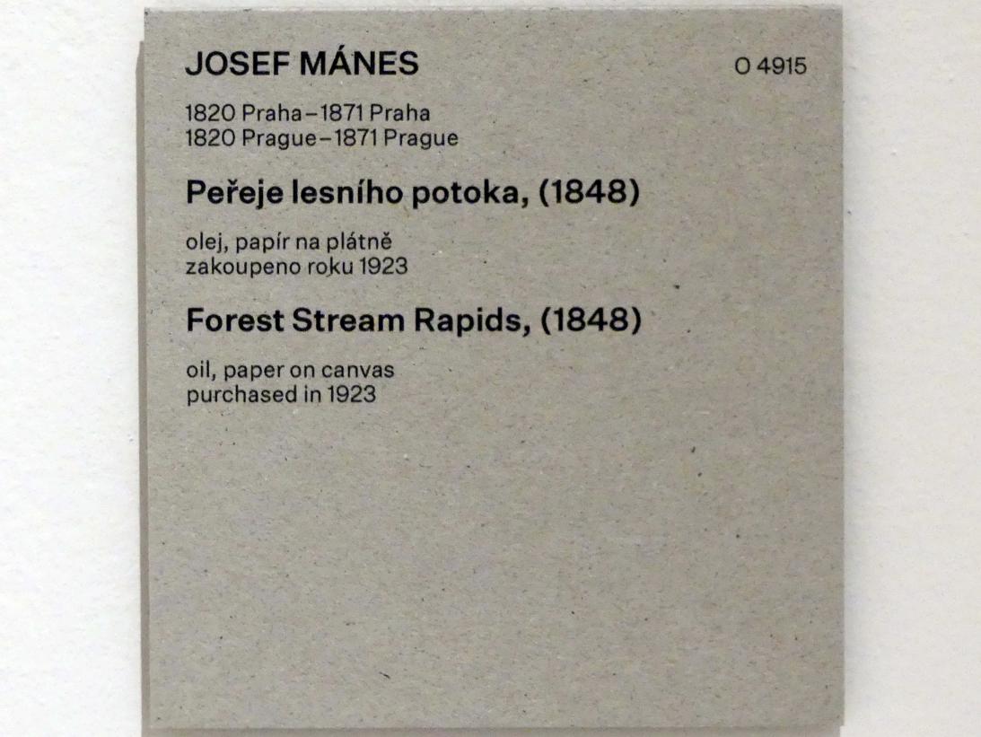 Josef Mánes (1845–1870), Stromschnellen im Wald, Prag, Nationalgalerie im Messepalast, Das lange Jahrhundert, Saal 19, 1848, Bild 2/2