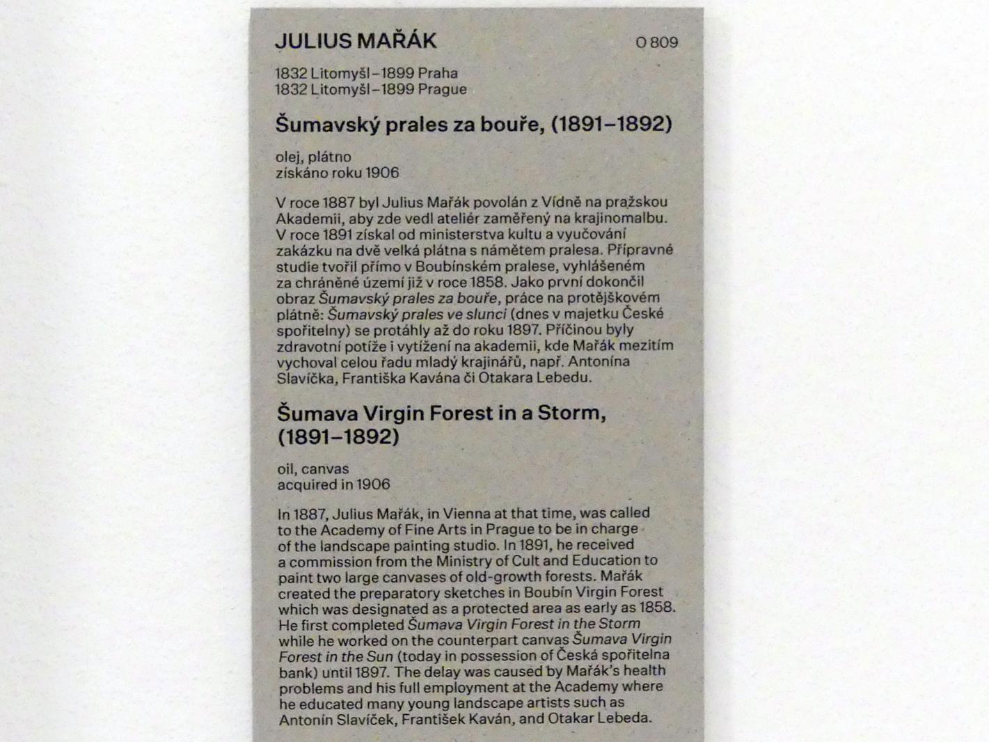 Julius Mařák (1891), Urwald in Šumava nach einem Sturm, Prag, Nationalgalerie im Messepalast, Das lange Jahrhundert, Saal 19, 1891–1892, Bild 2/2
