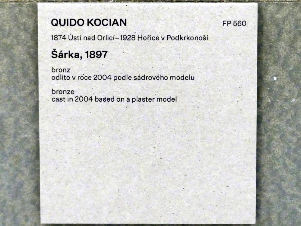 Quido Kocían (1897–1903), Šárka, Prag, Nationalgalerie im Messepalast, Das lange Jahrhundert, Saal 24, 1897, Bild 4/4