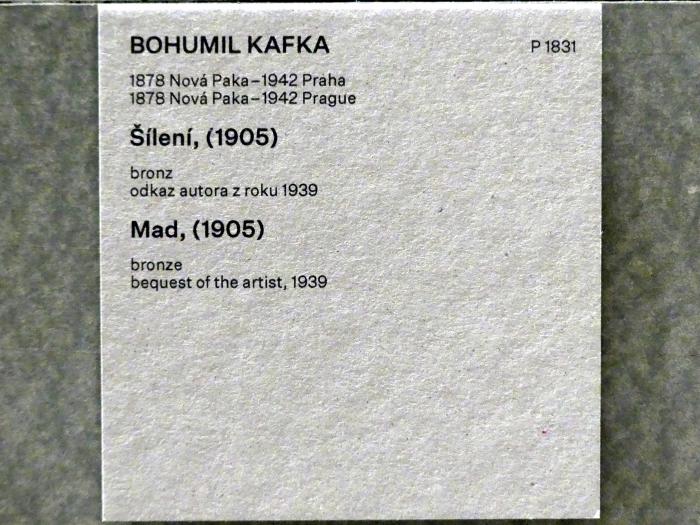 Bohumil Kafka (1905–1925), Der Wahnsinn, Prag, Nationalgalerie im Messepalast, Das lange Jahrhundert, Saal 32, 1905, Bild 4/4