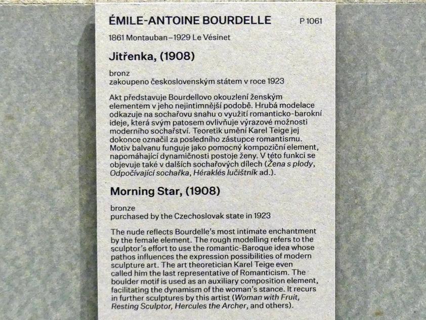 Antoine Bourdelle (Émile-Antoine Bourdelle) (1900–1909), Morgenstern, Prag, Nationalgalerie im Messepalast, Das lange Jahrhundert, Saal 34, 1908, Bild 6/6