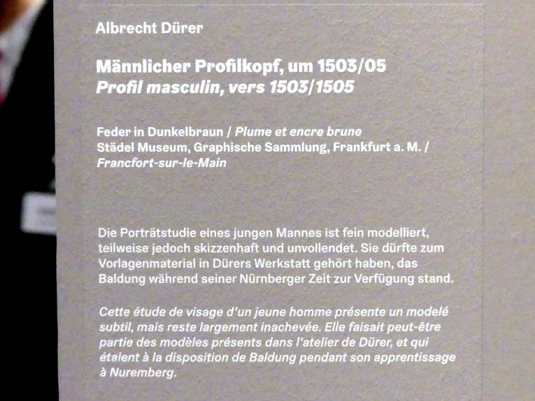 Albrecht Dürer (1490–1526), Männlicher Profilkopf, Karlsruhe, Staatliche Kunsthalle, Ausstellung "Hans Baldung Grien, heilig | unheilig", Saal 1, um 1503–1505, Bild 3/3