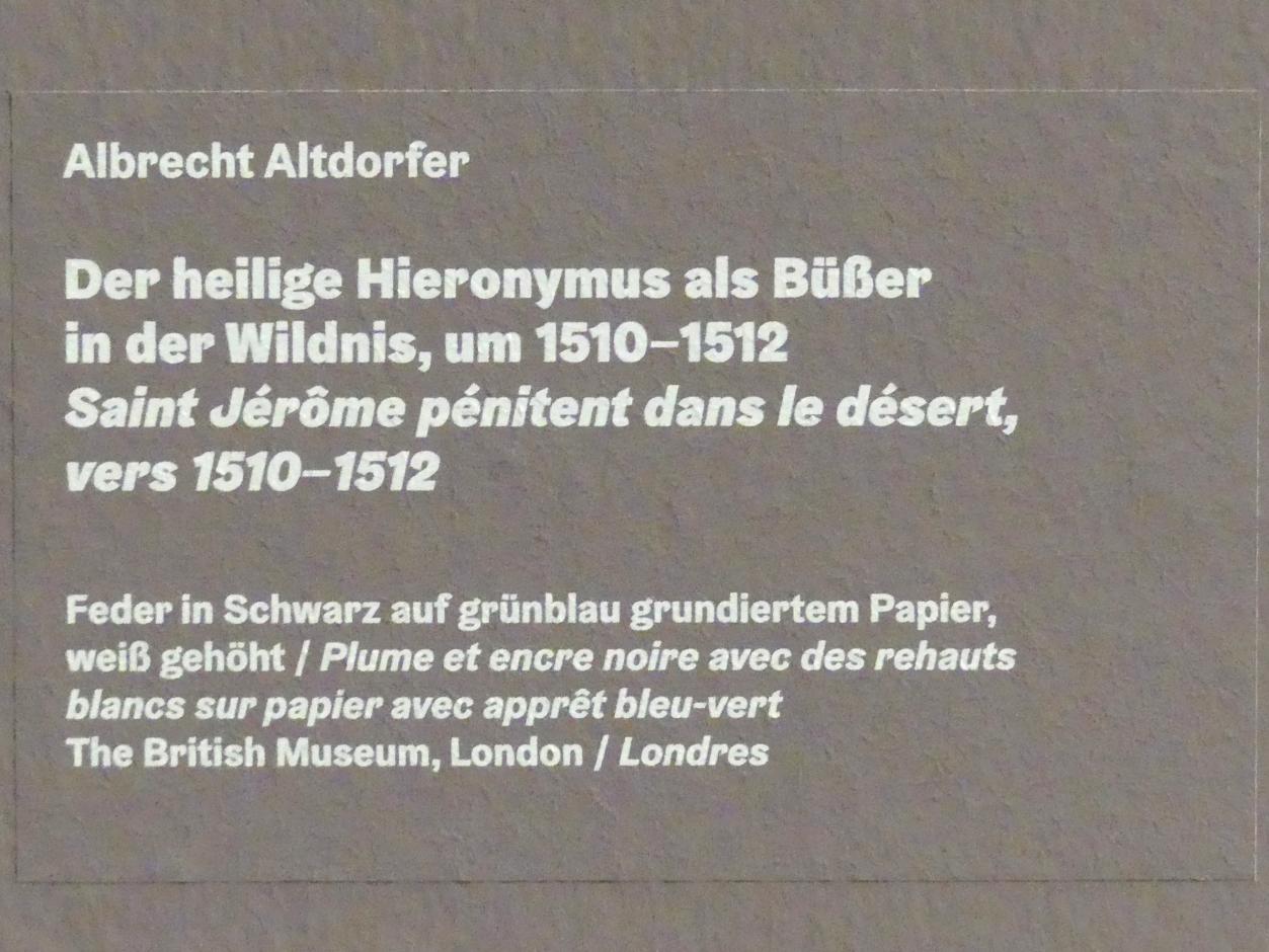 Albrecht Altdorfer (1507–1537), Der heilige Hieronymus als Büßer in der Wildnis, Karlsruhe, Staatliche Kunsthalle, Ausstellung "Hans Baldung Grien, heilig | unheilig", Saal 4, um 1510–1512, Bild 3/3