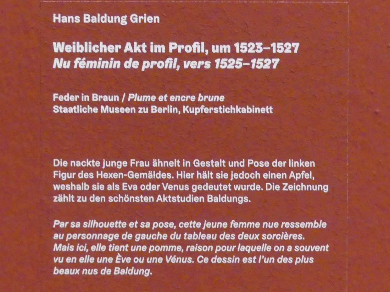 Hans Baldung Grien (1500–1544), Weiblicher Akt im Profil, Karlsruhe, Staatliche Kunsthalle, Ausstellung "Hans Baldung Grien, heilig | unheilig", Saal 7, um 1523–1527, Bild 2/2