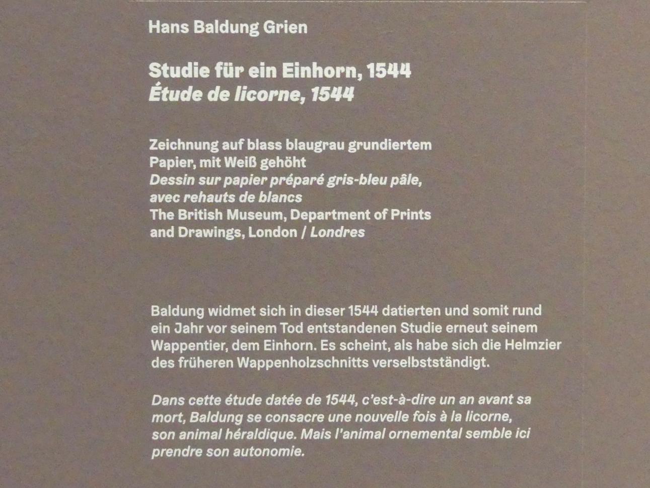 Hans Baldung Grien (1500–1544), Studie für ein Einhorn, Karlsruhe, Staatliche Kunsthalle, Ausstellung "Hans Baldung Grien, heilig | unheilig", Saal 13, 1544, Bild 3/3