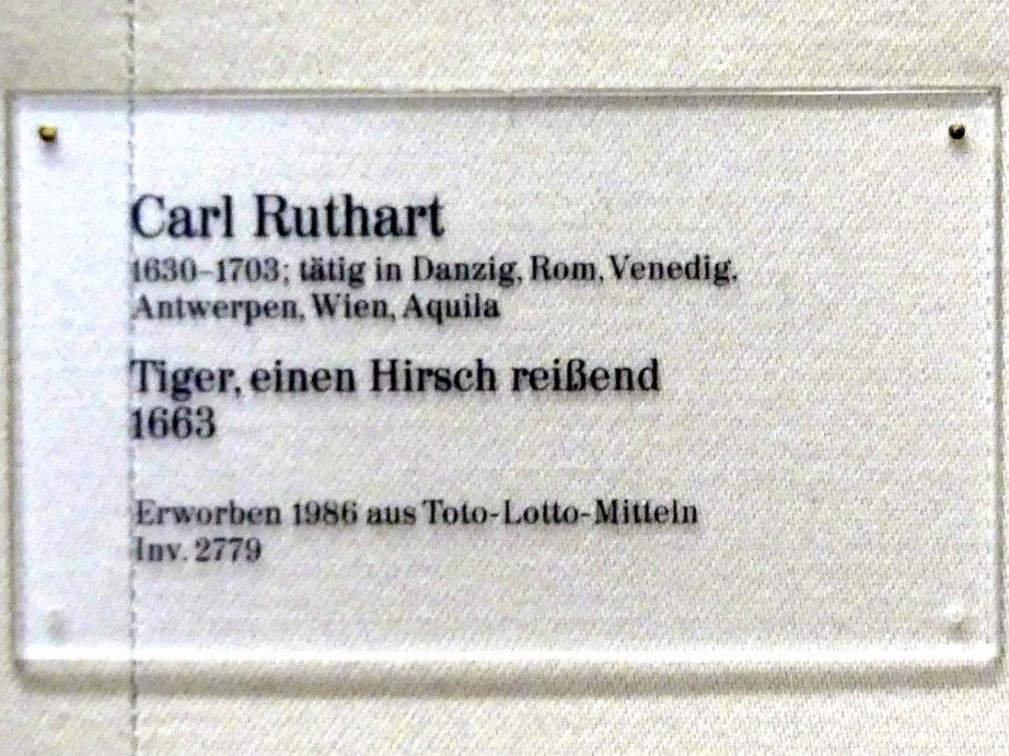 Carl Borromäus Andreas Ruthart (1663–1685), Tiger, einen Hirsch reißend, Karlsruhe, Staatliche Kunsthalle, Saal 31, 1663, Bild 2/2