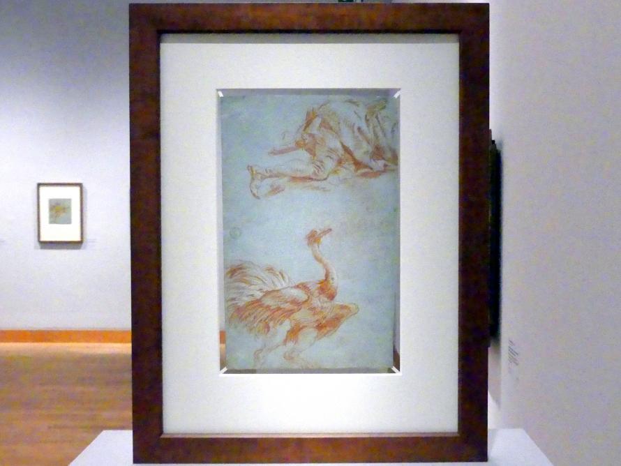 Giovanni Domenico Tiepolo (1743–1785), Kniender Mann nach rechts, Vogel Strauß (Recto-Seite), Stuttgart, Staatsgalerie, Ausstellung "Tiepolo"  vom 11.10.2019 - 02.02.2020, Saal 8: Die Würzburger Residenz, 1752–1753, Bild 2/3