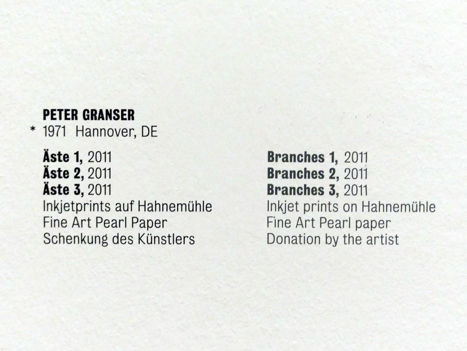 Peter Granser (2011), Äste 3, Stuttgart, Kunstmuseum, Saal 4, 2011, Bild 2/2