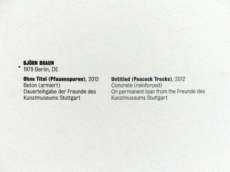 Björn Braun (2012), Ohne Titel (Pfauenspuren), Stuttgart, Kunstmuseum, Saal 19, 2012, Bild 5/5