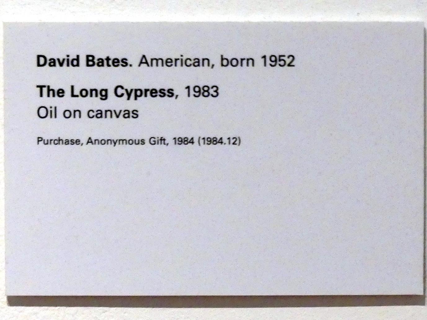 David Bates (1983), The Long Cypress - Die lange Zypresse, New York, Metropolitan Museum of Art (Met), Saal 915, 1983, Bild 2/2