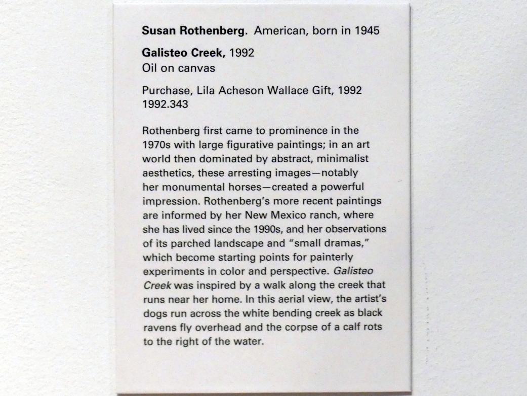 Susan Rothenberg (1977–1992), Galisteo Creek - Galisteo Bach, New York, Metropolitan Museum of Art (Met), Saal 915, 1992, Bild 2/2