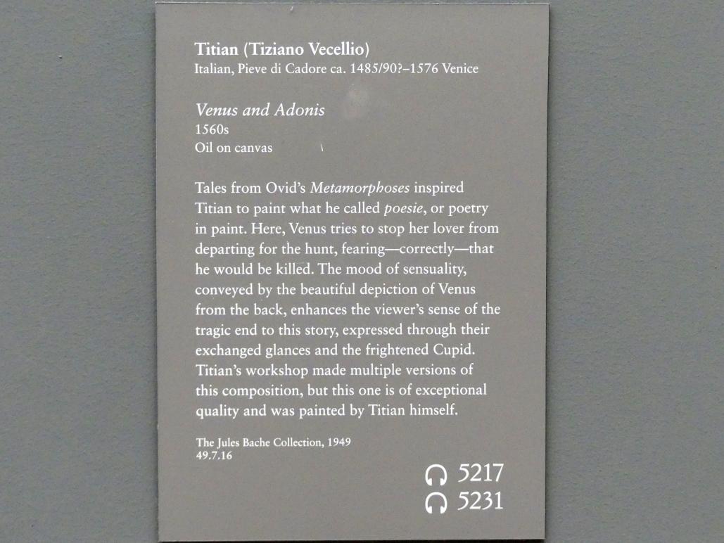 Tiziano Vecellio (Tizian) (1509–1575), Venus und Adonis, New York, Metropolitan Museum of Art (Met), Saal 638, um 1560–1570, Bild 2/2