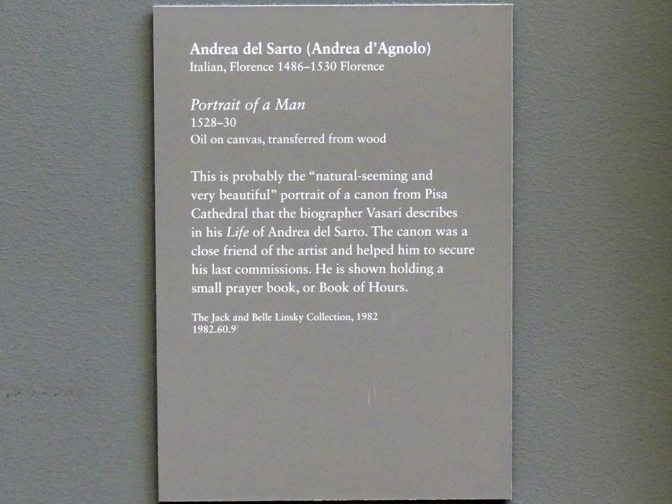 Andrea del Sarto (1512–1529), Bildnis eines Mannes, New York, Metropolitan Museum of Art (Met), Saal 638, 1528–1530, Bild 2/2