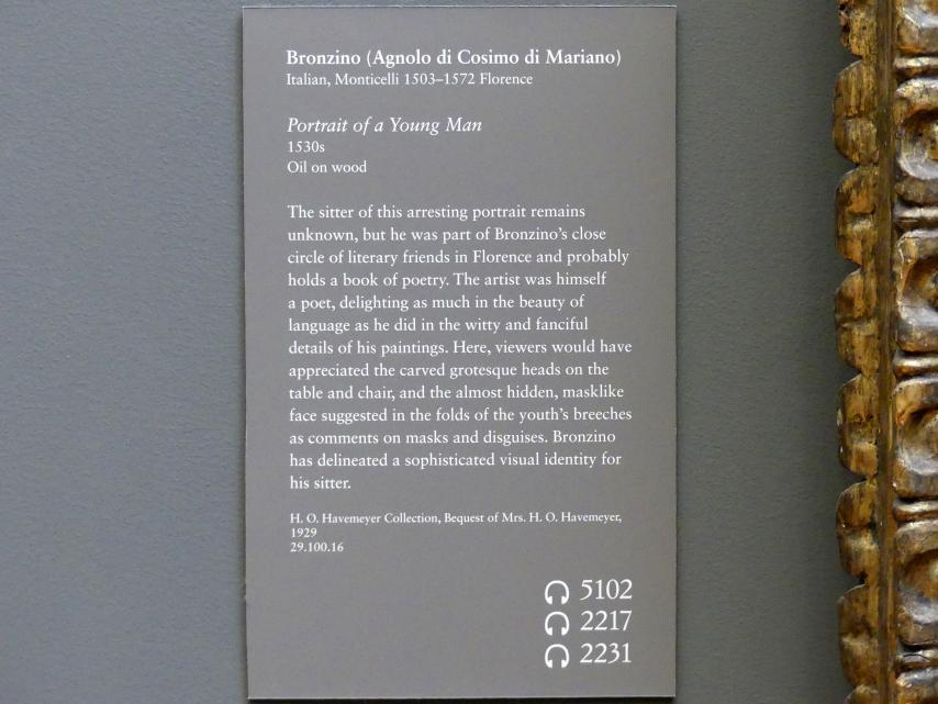 Agnolo di Cosimo di Mariano (Bronzino) (1526–1562), Bildnis eines jungen Mannes, New York, Metropolitan Museum of Art (Met), Saal 638, um 1530–1540, Bild 2/2