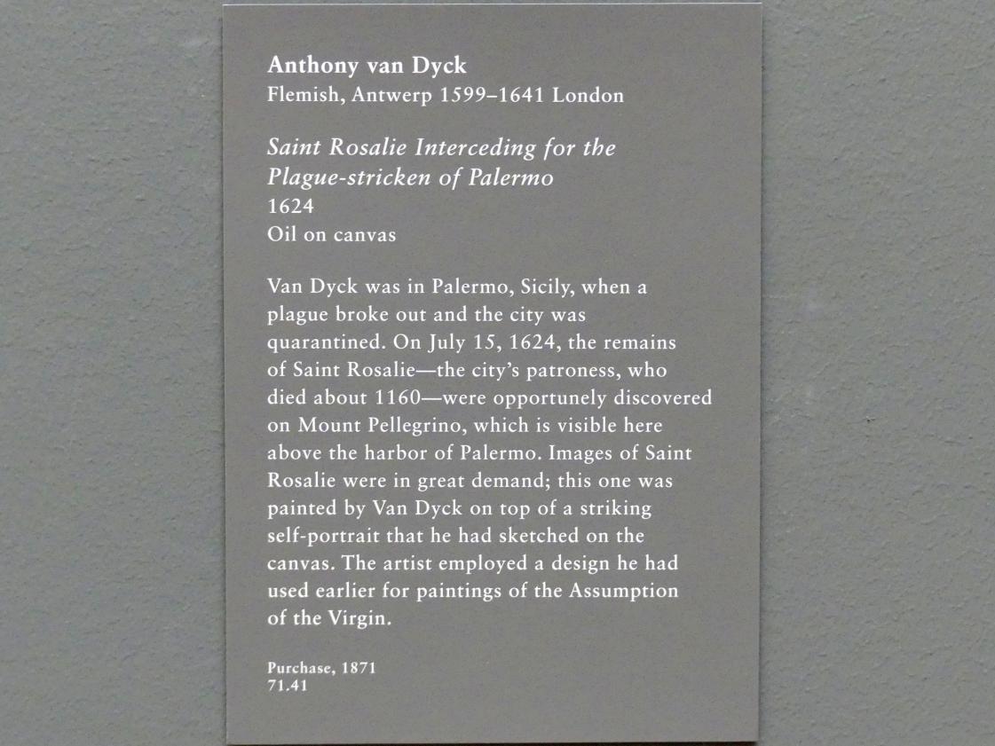 Anthonis (Anton) van Dyck (1614–1641), Die heilige Rosalie legt Fürbitte ein für das von der Pest heimgesuchte Palermo, New York, Metropolitan Museum of Art (Met), Saal 628, 1624, Bild 2/2