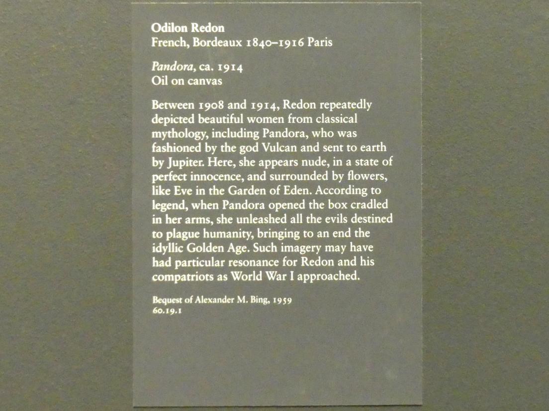 Odilon Redon (1875–1914), Pandora, New York, Metropolitan Museum of Art (Met), Saal 800, um 1914, Bild 2/2