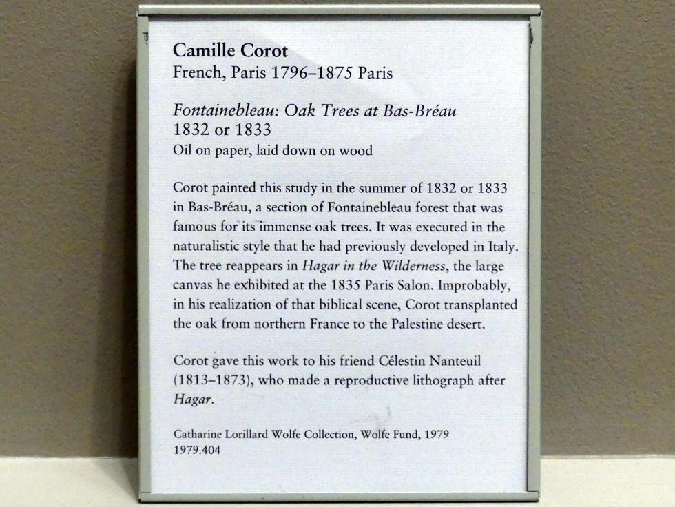 Jean-Baptiste Camille Corot (1823–1874), Fontainebleau: Eichen in Bas-Bréau, New York, Metropolitan Museum of Art (Met), Saal 803, um 1832–1833, Bild 2/2