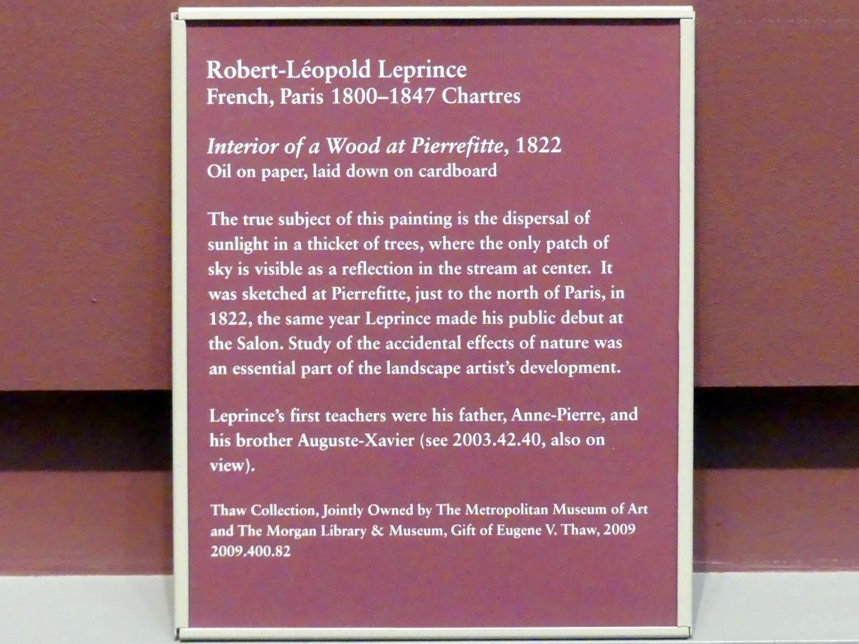 Robert Léopold Leprince (1822–1825), Waldinneres bei Pierrefitte-sur-Seine, New York, Metropolitan Museum of Art (Met), Saal 805, 1822, Bild 2/2