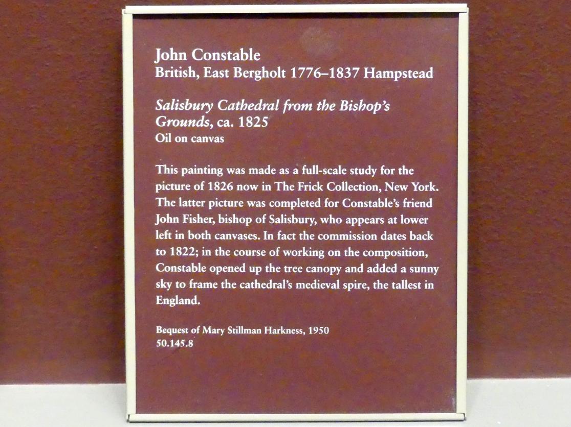 John Constable (1804–1850), Die Kathedrale von Salisbury vom Garten des Bischofs aus, New York, Metropolitan Museum of Art (Met), Saal 808, um 1825, Bild 2/2
