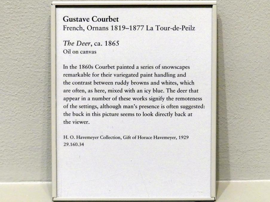Gustave Courbet (1849–1874), Hirsch, New York, Metropolitan Museum of Art (Met), Saal 811, um 1865, Bild 2/2