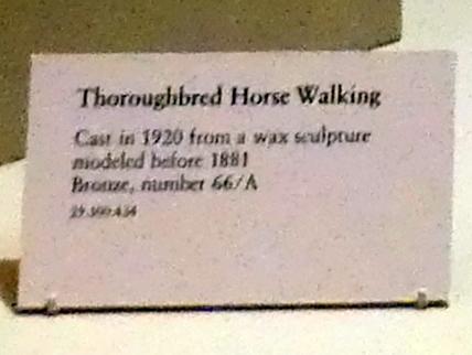 Edgar Degas (1855–1909), Vollblutpferd gehend, New York, Metropolitan Museum of Art (Met), Saal 814, vor 1881, Bild 2/2