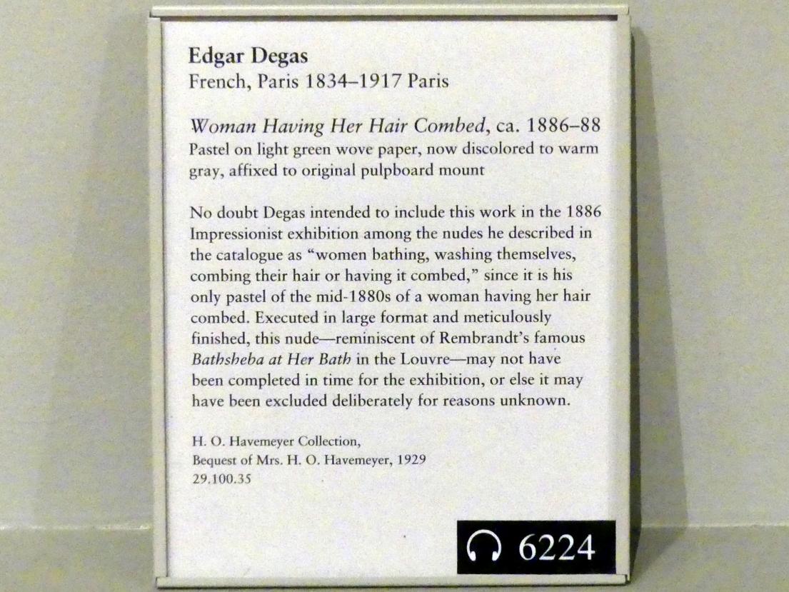 Edgar Degas (1855–1909), Frau, der die Haare gekämmt werden, New York, Metropolitan Museum of Art (Met), Saal 817, um 1886–1888, Bild 2/2