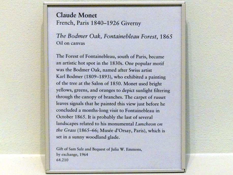 Claude Monet (1864–1925), Die Bodmer Eiche, Wald von Fontainebleau, New York, Metropolitan Museum of Art (Met), Saal 818, 1865, Bild 2/2