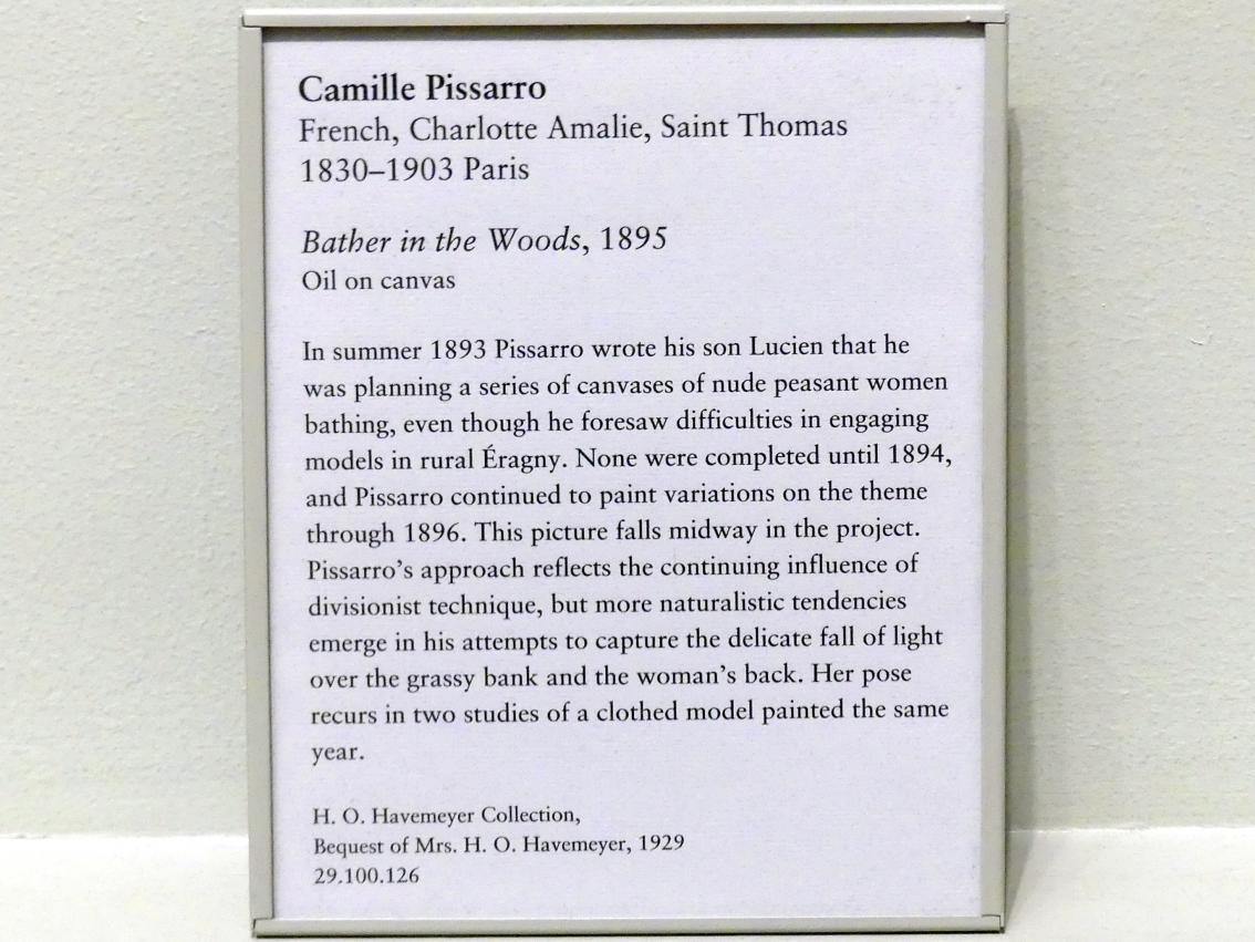 Camille Pissarro (1863–1903), Badende im Wald, New York, Metropolitan Museum of Art (Met), Saal 820, 1895, Bild 2/2