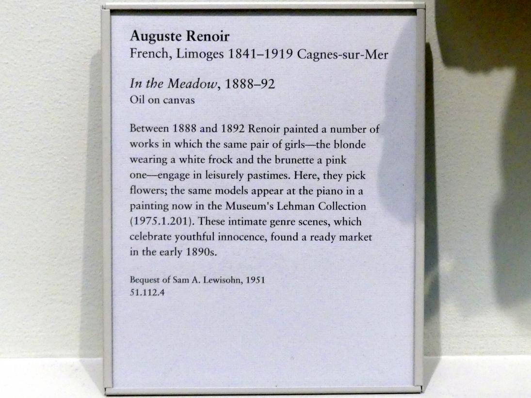 Auguste Renoir (Pierre-Auguste Renoir) (1866–1918), Auf der Wiese, New York, Metropolitan Museum of Art (Met), Saal 824, 1888–1892, Bild 2/2