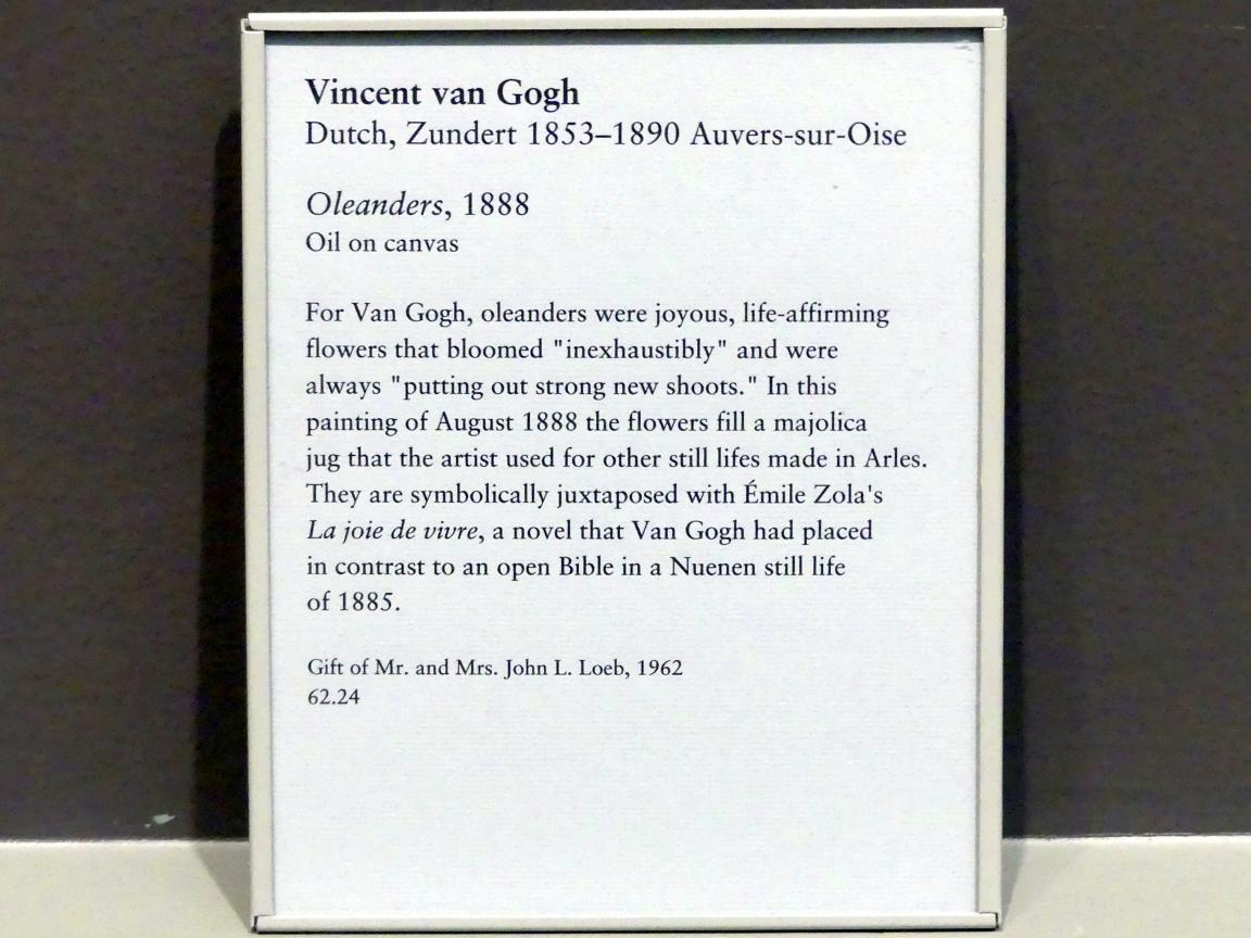 Vincent van Gogh (1882–1890), Oleander, New York, Metropolitan Museum of Art (Met), Saal 825, 1888, Bild 2/2