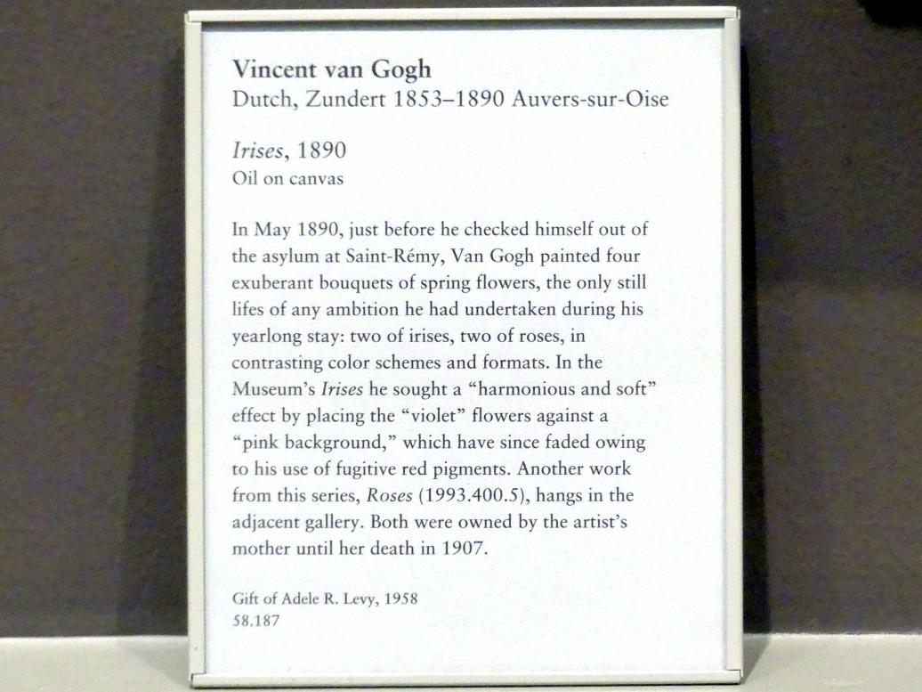 Vincent van Gogh (1882–1890), Schwertlilien, New York, Metropolitan Museum of Art (Met), Saal 825, 1890, Bild 2/2