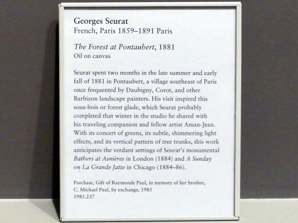 Georges Seurat (1879–1891), Der Wald von Pontaubert, New York, Metropolitan Museum of Art (Met), Saal 825, 1881, Bild 2/2