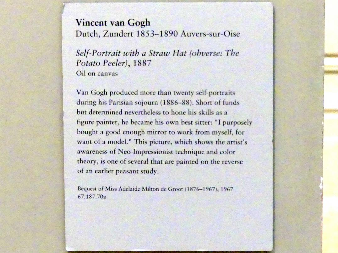 Vincent van Gogh (1882–1890), Selbstporträt mit Strohhut, New York, Metropolitan Museum of Art (Met), Saal 825, 1887, Bild 2/2
