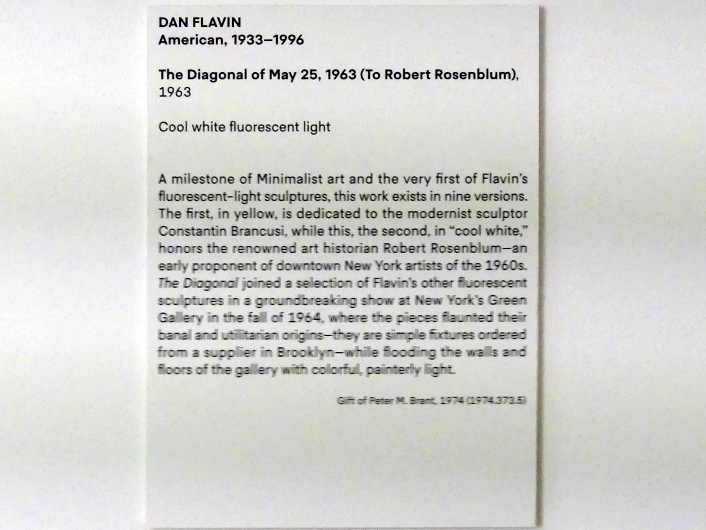 Dan Flavin (1963–1970), Diagonale vom 25. Mai 1963 (Für Robert Rosenblum), New York, Metropolitan Museum of Art (Met), Saal 917, 1963, Bild 2/2