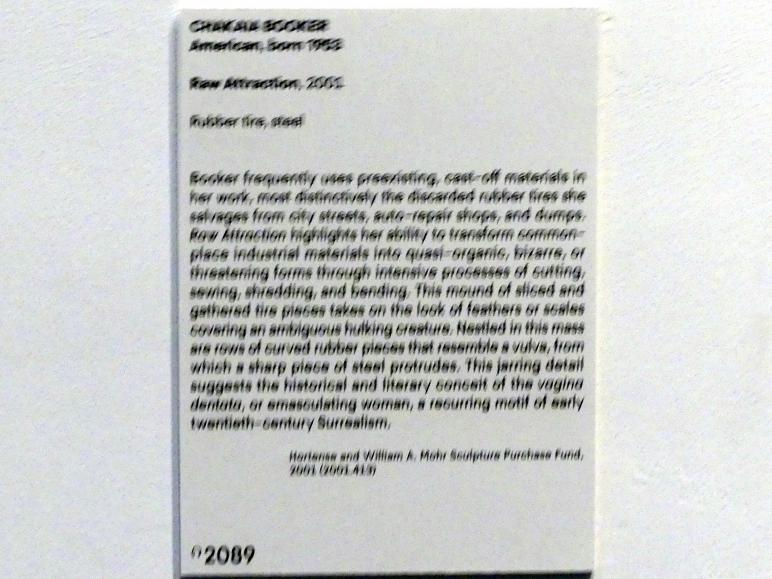 Chakaia Booker (2001), Raw Attraction - Rohe Attraktion, New York, Metropolitan Museum of Art (Met), Saal 925, 2001, Bild 7/7