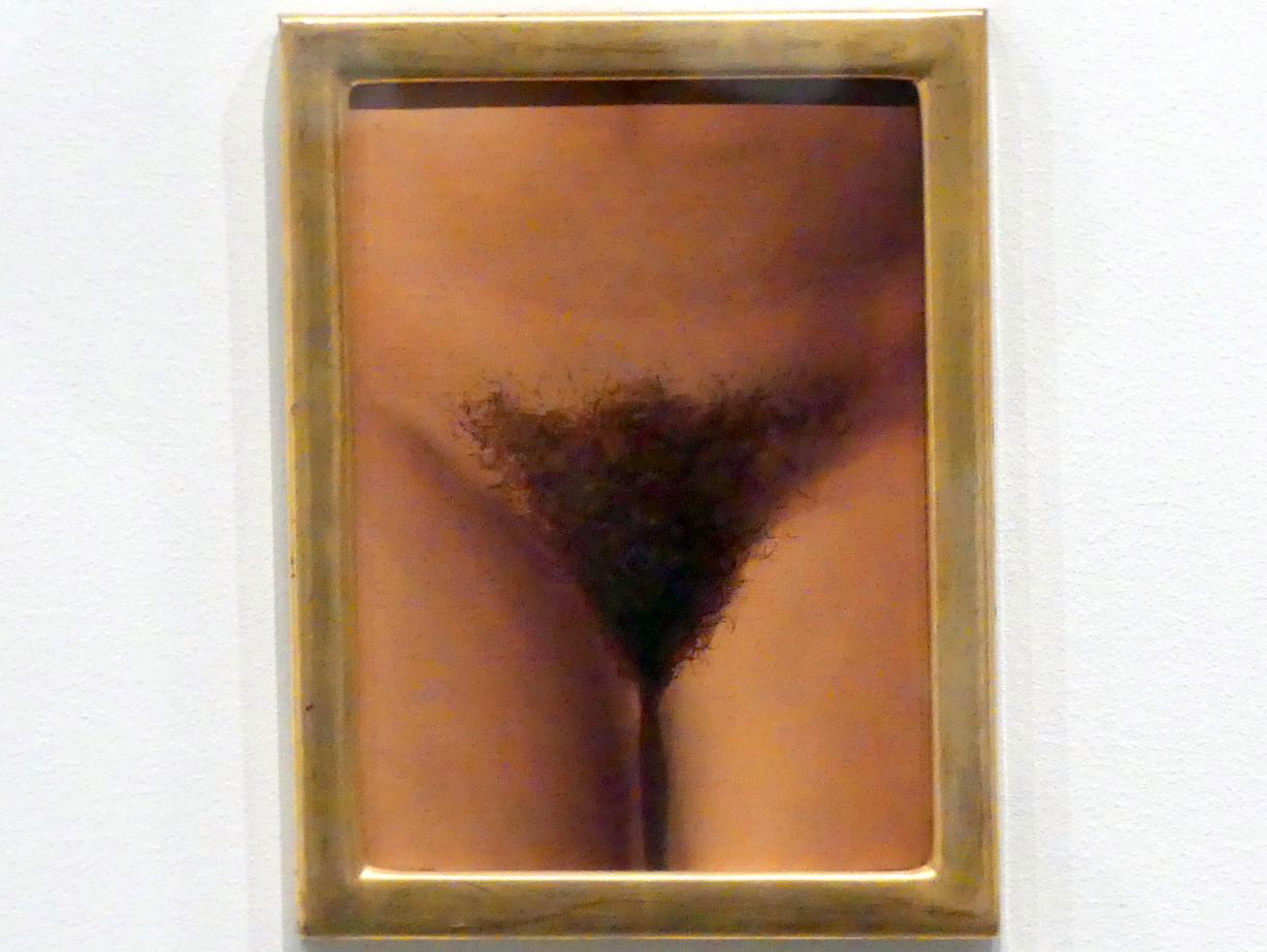 René Magritte (1926–1967), Das Ewig Offensichtliche, New York, Metropolitan Museum of Art (Met), Saal 901, 1948, Bild 4/7