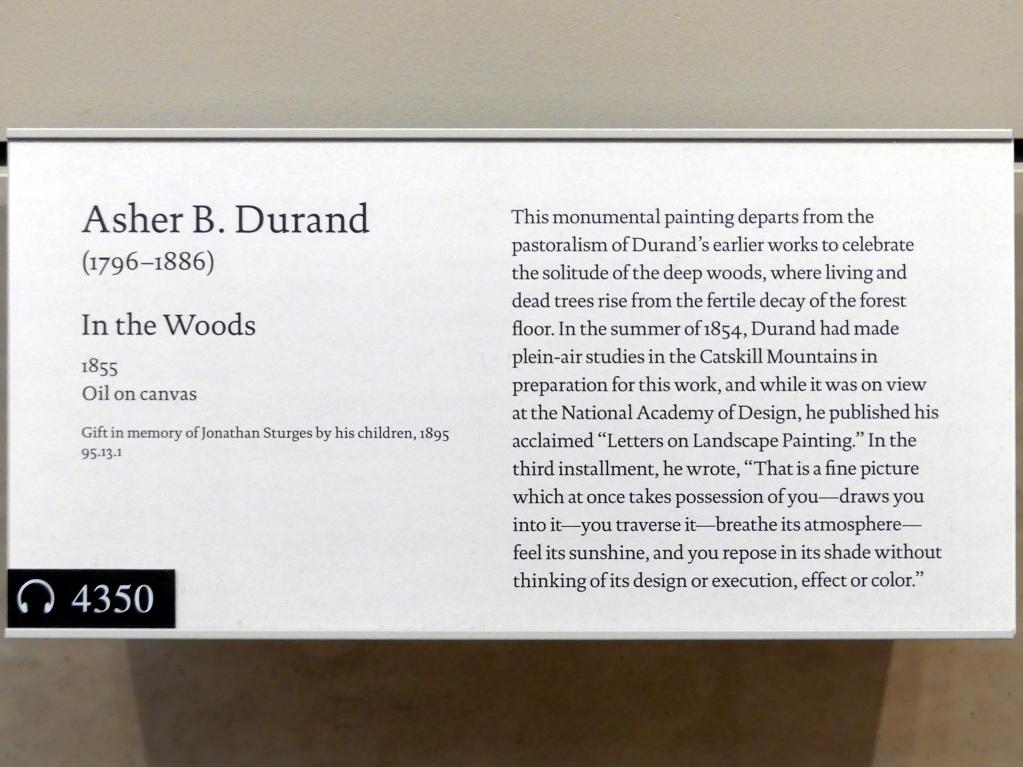 Asher Brown Durand (1833–1865), Im Wald, New York, Metropolitan Museum of Art (Met), Saal 759, 1855, Bild 2/2