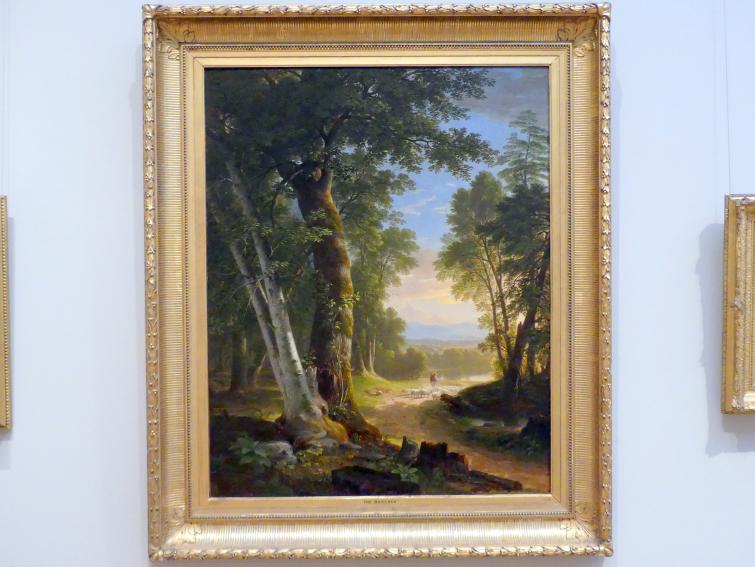 Asher Brown Durand (1833–1865), Buchenwald, New York, Metropolitan Museum of Art (Met), Saal 759, 1845