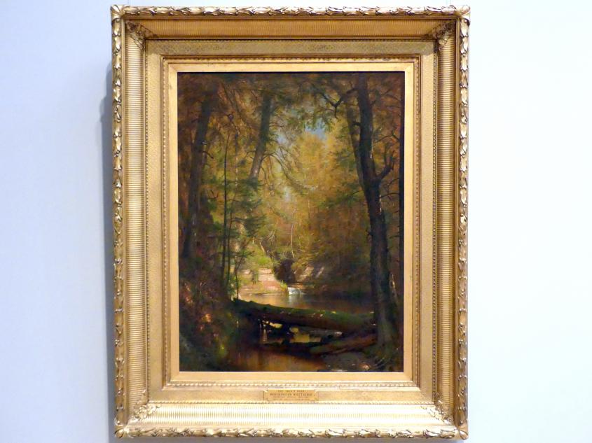Worthington Whittredge (1867–1885), Das Forellenbecken, New York, Metropolitan Museum of Art (Met), Saal 761, 1870