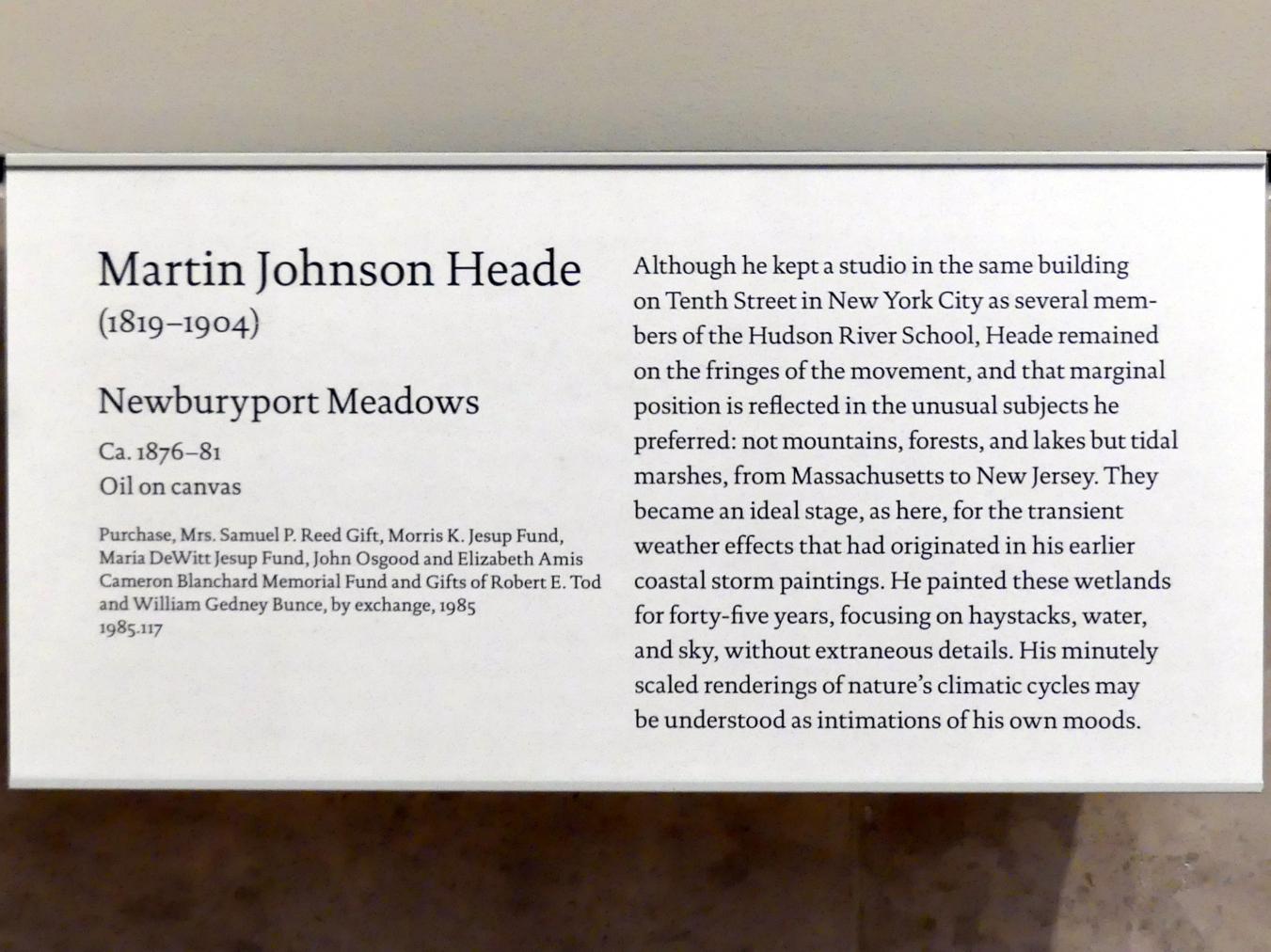 Martin Johnson Heade (1859–1902), Wiesen bei Newburyport, New York, Metropolitan Museum of Art (Met), Saal 761, um 1876–1881, Bild 2/2