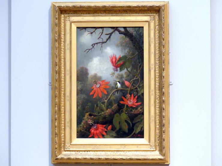 Martin Johnson Heade: Kolibri und Passionsblumen, um 1875 - 1885