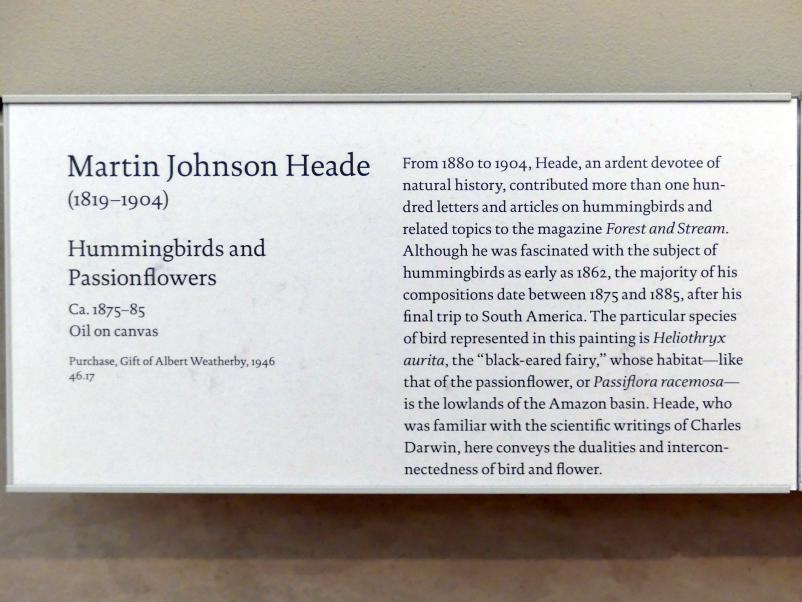 Martin Johnson Heade (1859–1902), Kolibri und Passionsblumen, New York, Metropolitan Museum of Art (Met), Saal 760, um 1875–1885, Bild 2/2