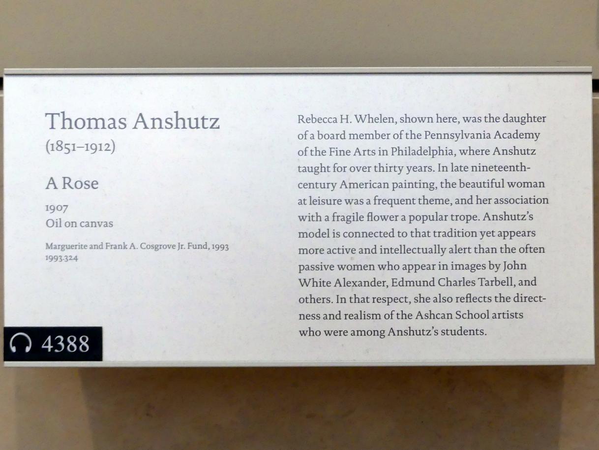 Thomas Pollock Anshutz (1879–1907), Eine Rose, New York, Metropolitan Museum of Art (Met), Saal 768, 1907, Bild 2/2