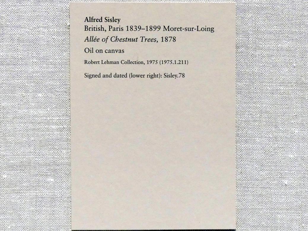 Alfred Sisley (1872–1896), Kastanienbaum-Allée, New York, Metropolitan Museum of Art (Met), Saal 961, 1878, Bild 2/2