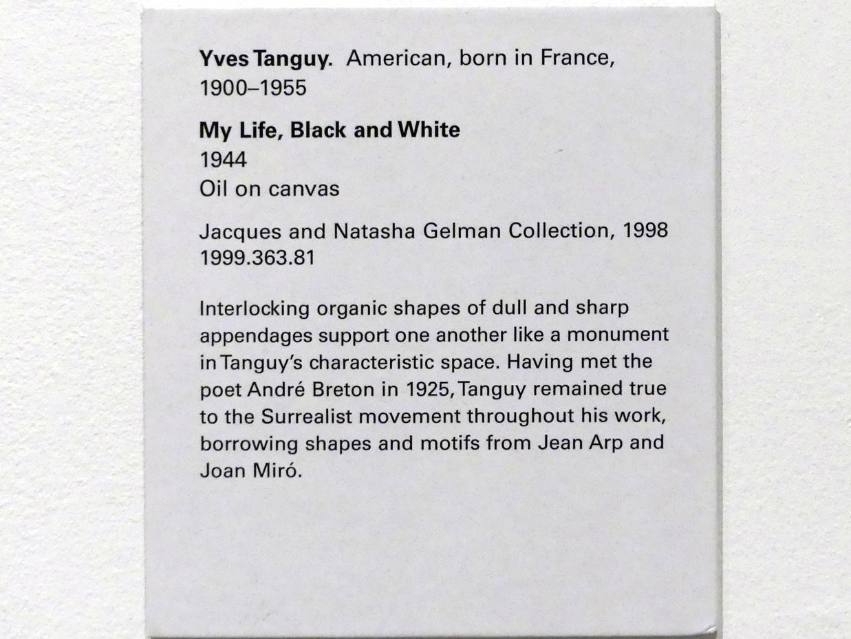 Yves Tanguy (1926–1954), Mein Leben, Schwarz und Weiß, New York, Metropolitan Museum of Art (Met), Saal 907, 1944, Bild 2/2