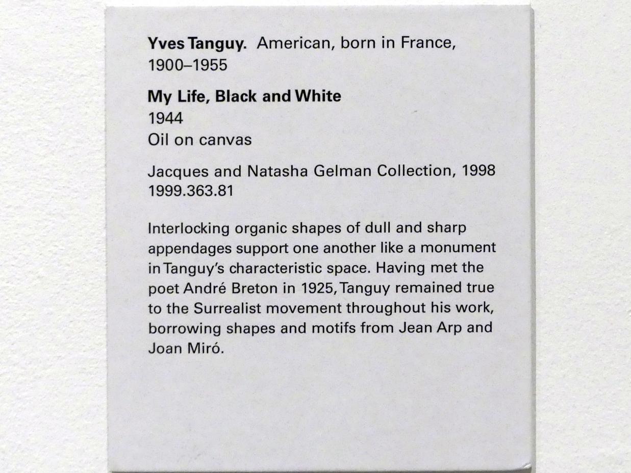 Yves Tanguy (1926–1954), Mein Leben, Schwarz und Weiß, New York, Metropolitan Museum of Art (Met), Saal 907, 1944, Bild 2/2