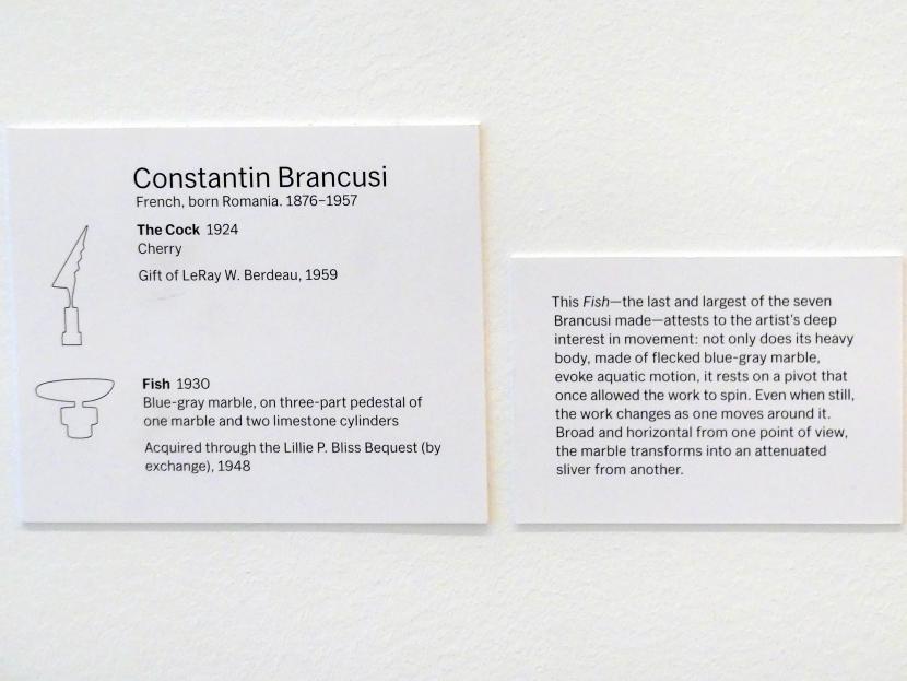 Constantin Brâncuși (1911–1942), Der Hahn, New York, Museum of Modern Art (MoMA), Saal 500, 1924, Bild 2/2